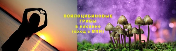 гидра Волосово
