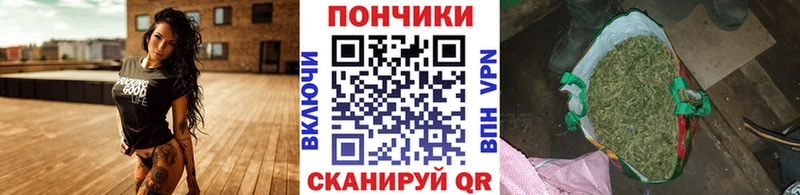 Бошки Шишки сатива  Вяземский 